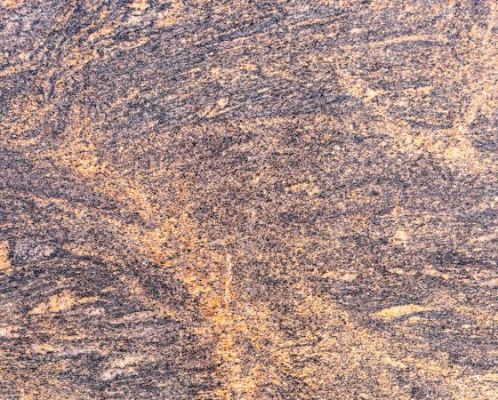 Tile-24 (2)